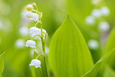 《战神：诸神黄昏》将会是最棒的上世代主机游戏